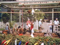 2004